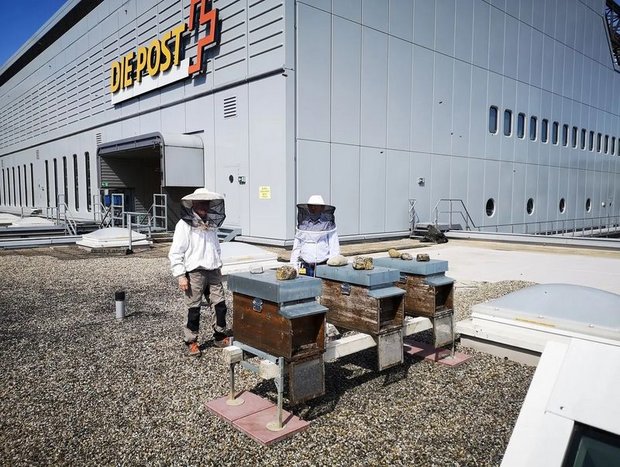 Urbane Bienenköniginnen – ein etablierter Trend Auf dem Dach des Briefzentrums Zürich-Mülligen wird gestartet und gelandet - seit diesem Jahr hat die Post eigene Bienenstöcke. (Bild Post AG)