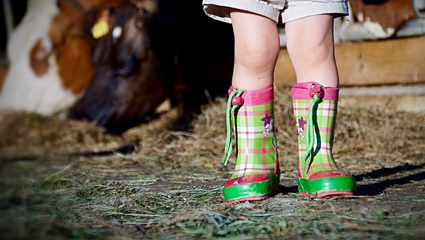 Ein Einstieg in die Landwirtschaft ist nicht immer attraktiv, auch wenn man auf einem Bauernhof aufgewachsen ist. (Bild Pixabay)