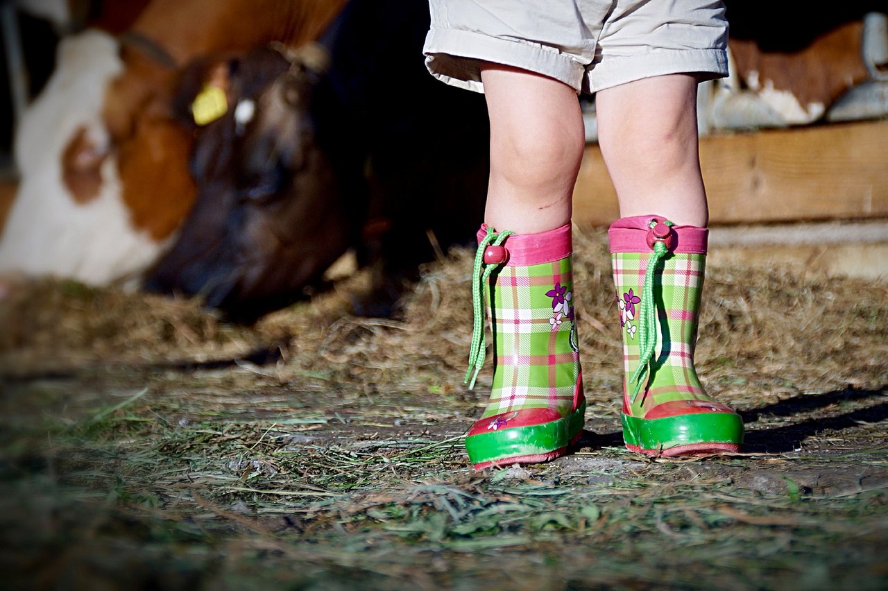 Ein Einstieg in die Landwirtschaft ist nicht immer attraktiv, auch wenn man auf einem Bauernhof aufgewachsen ist. (Bild Pixabay)