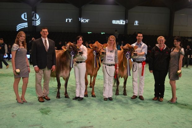 Grande Champion (rechts): Avonlea Signature Kendra, Brühlhof Holsteins, Deutschland / Reserve Grande Champion (Mitte): DJ Izzy Viviane, Corinne Junker, Iffwil / Mention Honorable (links): Fantom Islande, C. und M. Pradervand - Rey, Grens