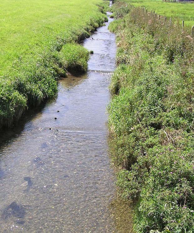 Entlang von Bächen und Flüssen im Landwirtschaftsgebiet sind Gewässerräume auszuscheiden. Wie breit diese sein sollen, ist politisch noch immer umstritten. 