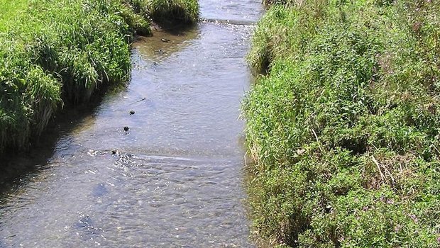 Entlang von Bächen und Flüssen im Landwirtschaftsgebiet sind Gewässerräume auszuscheiden. Wie breit diese sein sollen, ist politisch noch immer umstritten. 