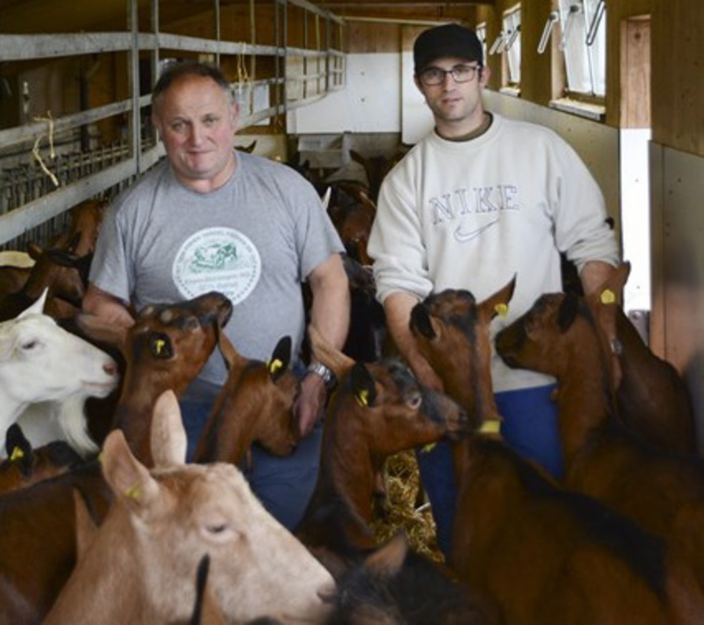 Niklaus Furrer hat den Milchviehbetrieb inzwischen an seinen Sohn Christoph übergeben. Der Ziegenmilchmarkt beschäftigt ihn nach wie vor, er befürchtet Konkurrenz durch Importkäse. (Bild Andrea Gysin)