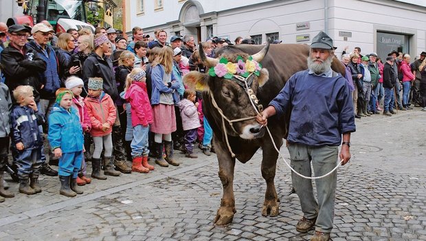 Ein traditioneller Höhepunkt der Schwyzer Bezirksviehschauen mit viel Publikum: Umzug nach der Viehschau durch den Kantonshauptort.