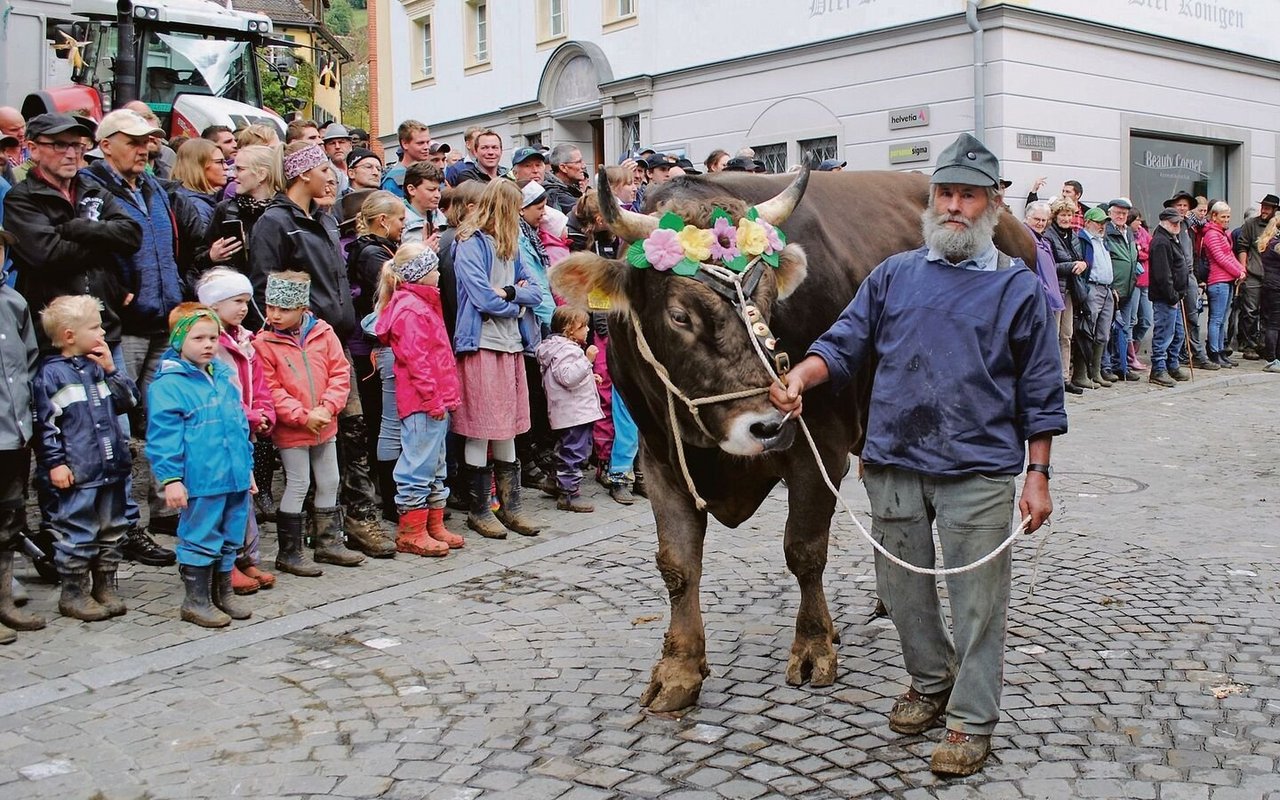 Ein traditioneller Höhepunkt der Schwyzer Bezirksviehschauen mit viel Publikum: Umzug nach der Viehschau durch den Kantonshauptort.