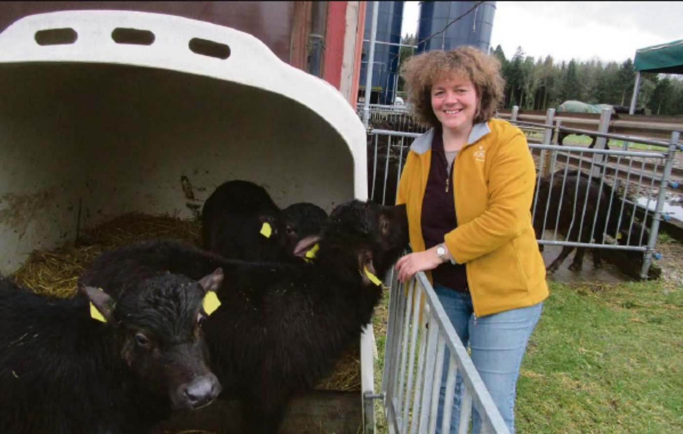 Sonja Küchler und ihr Mann setzen auf Büffelhaltung. Mit der Milch der wenigen Holsteinkühe von früher werden vor allem die Büffelkälber getränkt. (Margreth Rinderknecht)