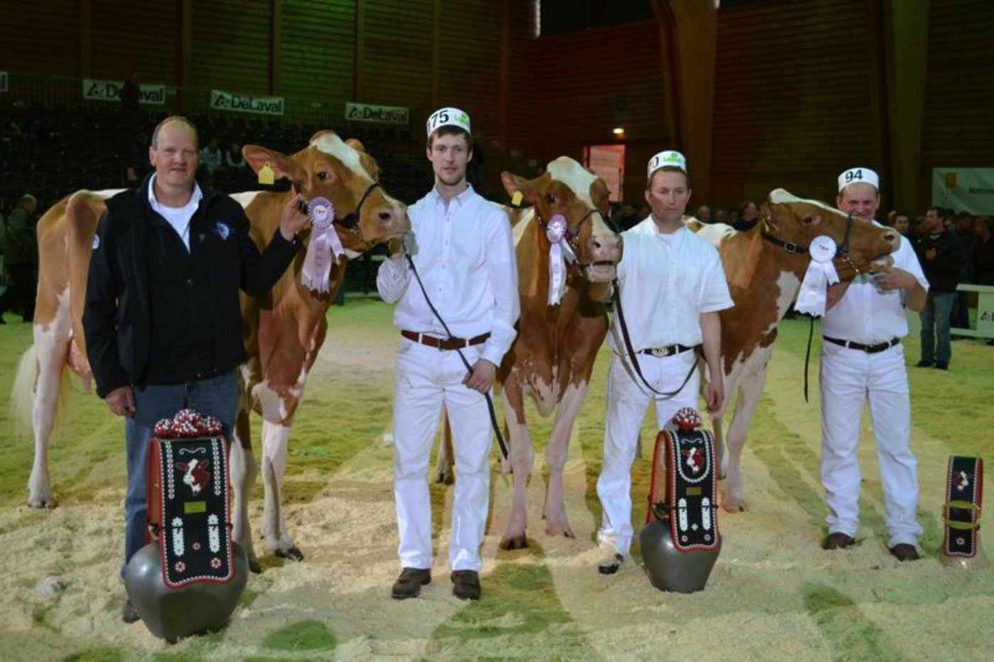 Champion (links): Jowis Incas Flavia, Erich Zingre-Thomi, Grund b. Gstaad / Reserve Champion (Mitte): Bopi Talent Lotanie, Pierre Oberson und Nicolas Savary, Maules / Mention Honorable (Rechts): GS Alliance Alando Jodie-Red, GS Alliance, Bürglen