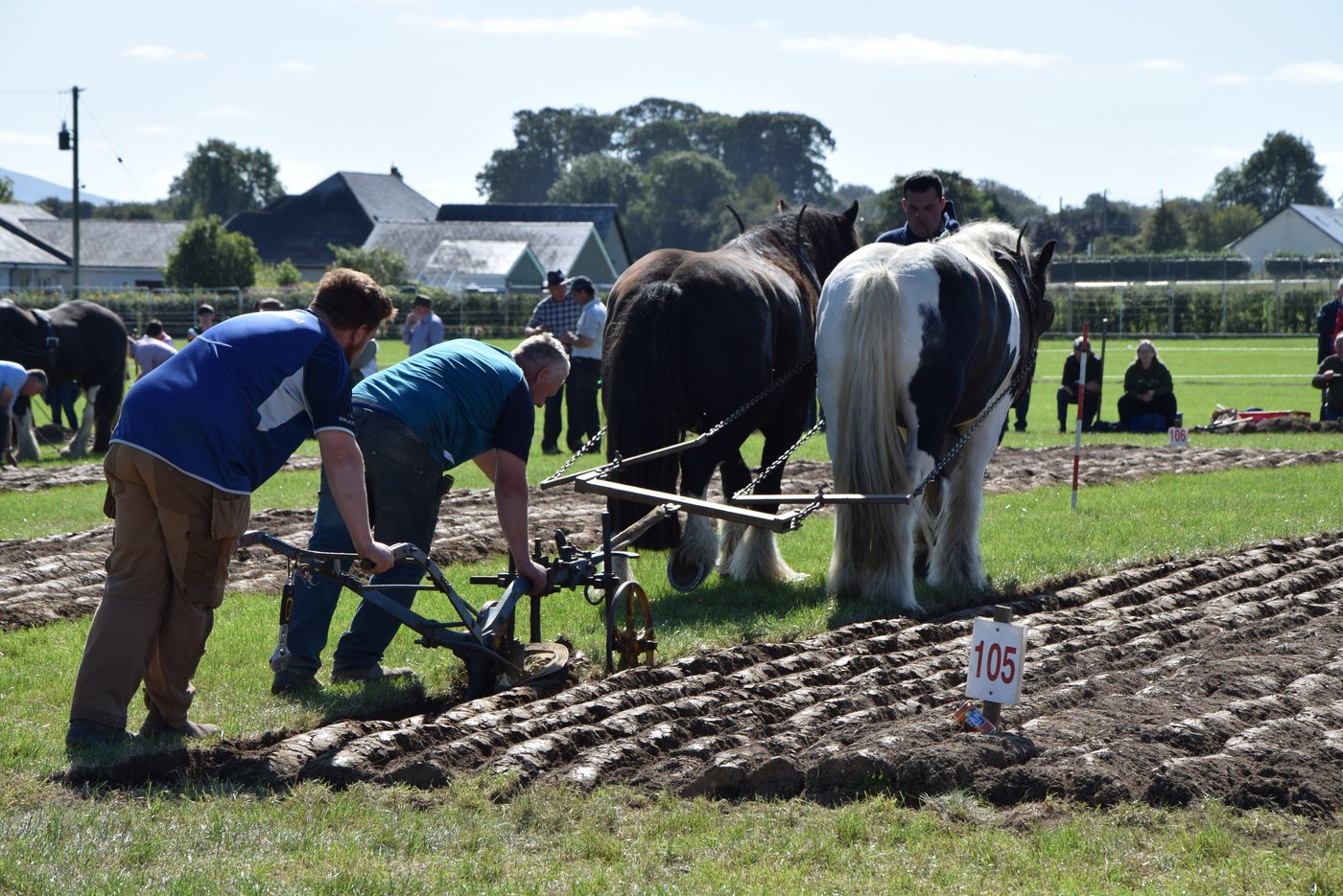 Auch kämpfen Landwirte mit Pferdepflug um den Titel des besten Pflügers.