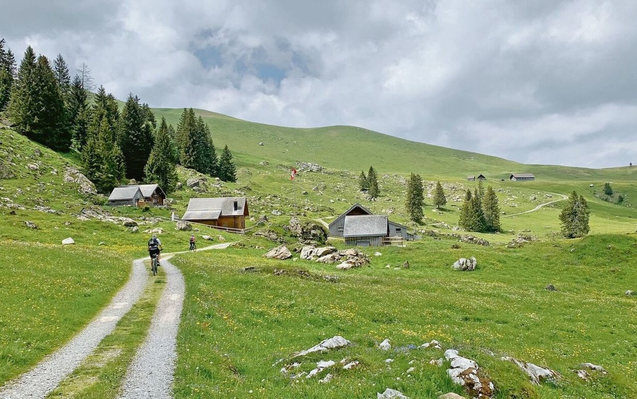 Auf eingeschotterten, breiten Wegen auf Alpen gibt es kaum Probleme wegen Bikern, sehr wohl aber auf unbefestigten, schmalen und steilen Wanderwegen. 