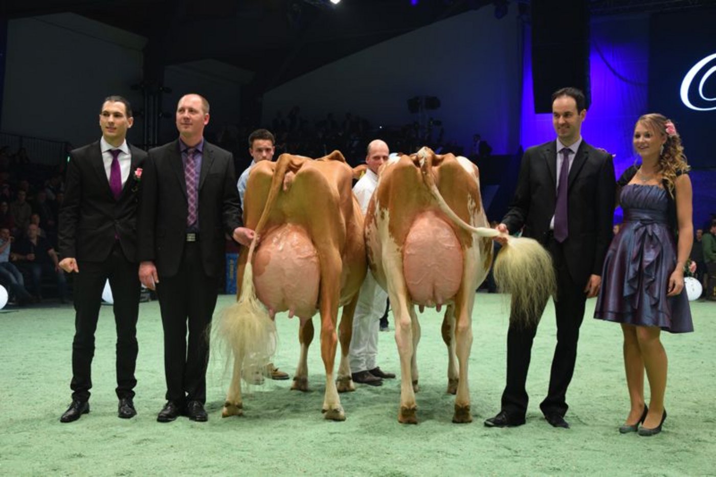 Senior Schöneuter: Incas Grenada (links), Daniel Gisler / Pfulg Koni & Stefan, Bürglen  Reserve Senior Schöneuter: Häni's Futur Absolute Redlife, Ueli Bürkli, Muri.