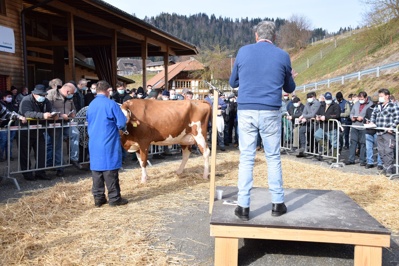 Für 4250 Franken, konnte die mit einem sehr schönen Euter Kohler Levio Nuessli von Hansulrich Kohler, Häusernmoos BE, zugeschlagen werden. 
