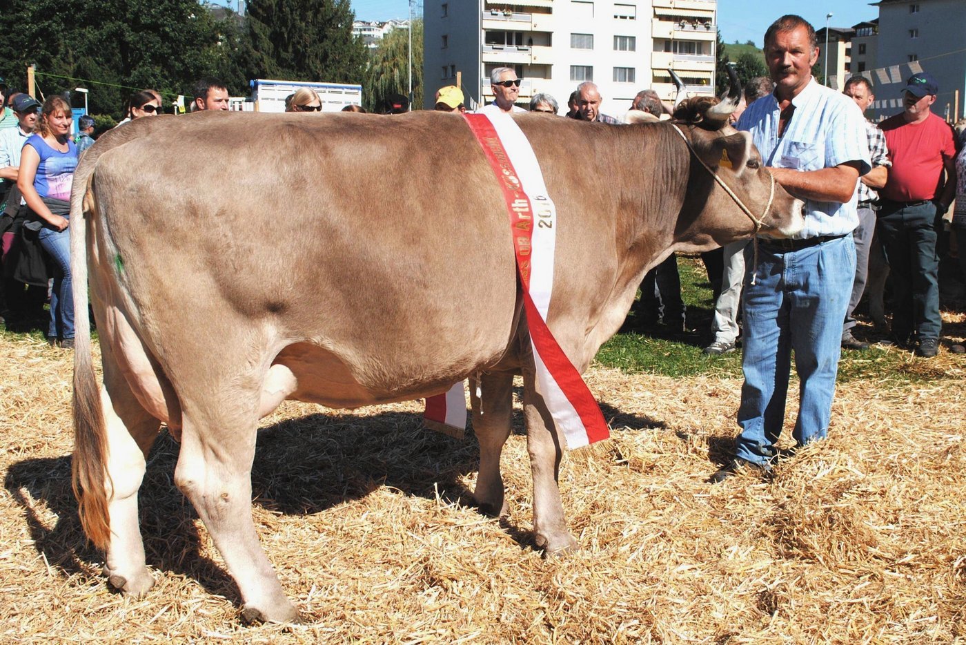 Miss OB Küssnacht wurde Vogt Velma von Alois Marty, Goldau. Sie vertrat die Schweiz bereits an der Europameisterschaft.
