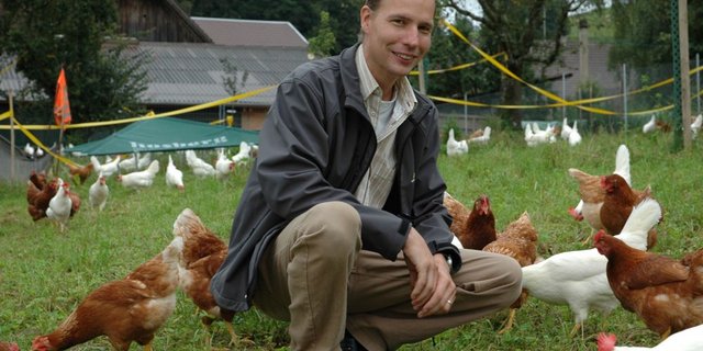 Die Legehennen auf dem Betrieb von Pirmin Bucheli haben eine Hektare «strukturierten» Auslauf zur Verfügung. (Bild: Armin Emmenegger)