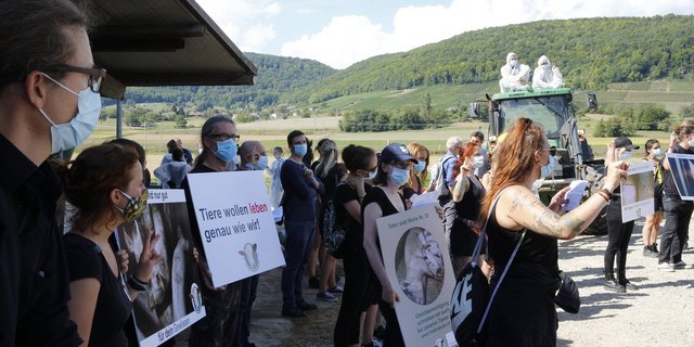 Impression von der Besetzungsaktion von Mitte August in Beringen SH. (Bild 1Individuum/Facebook)