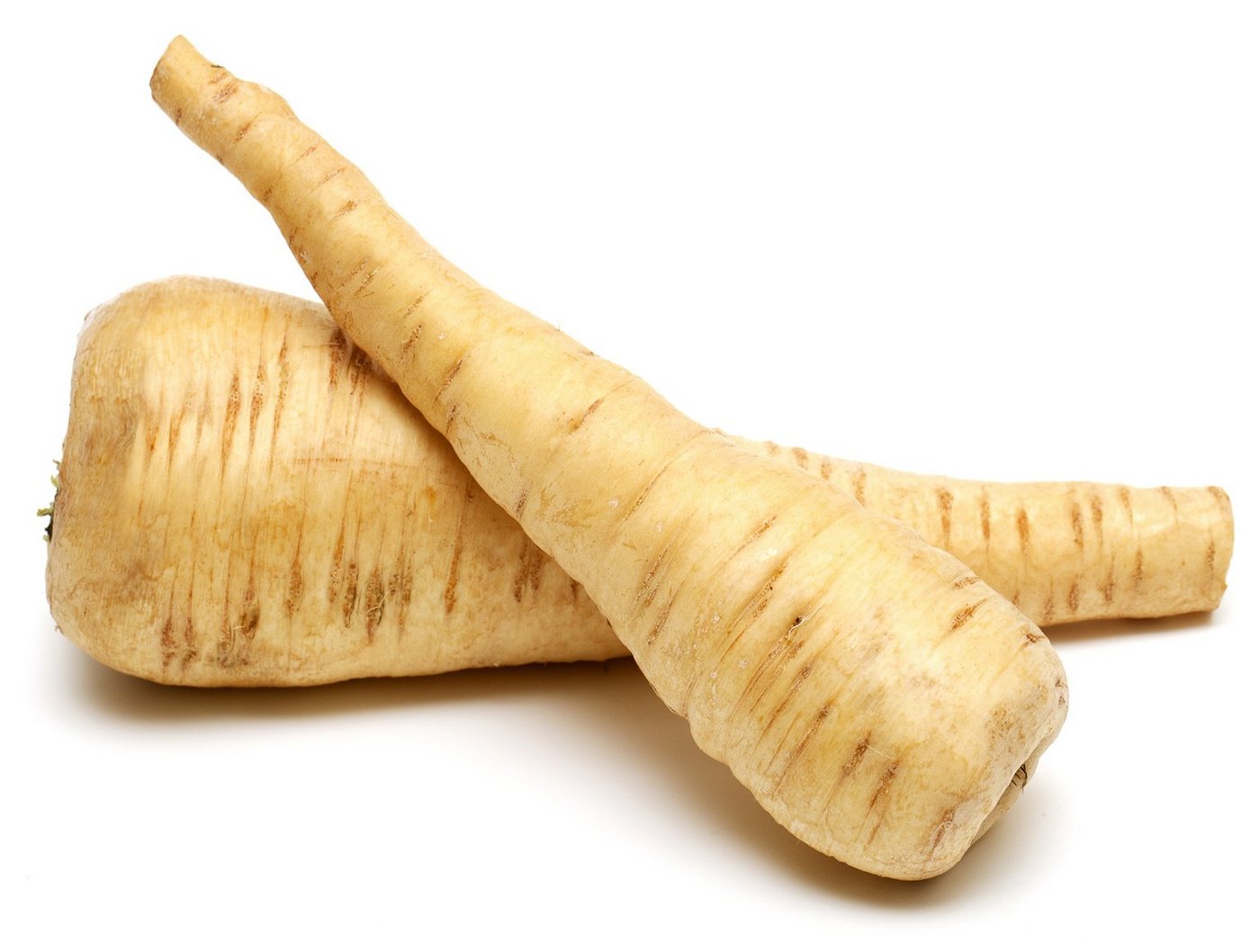 Pastinaken Sehen aus wie weisse Rüben, schmecken ähnlich wie Sellerie oder Kartoffeln: Pastinaken. (Bild VSGP)