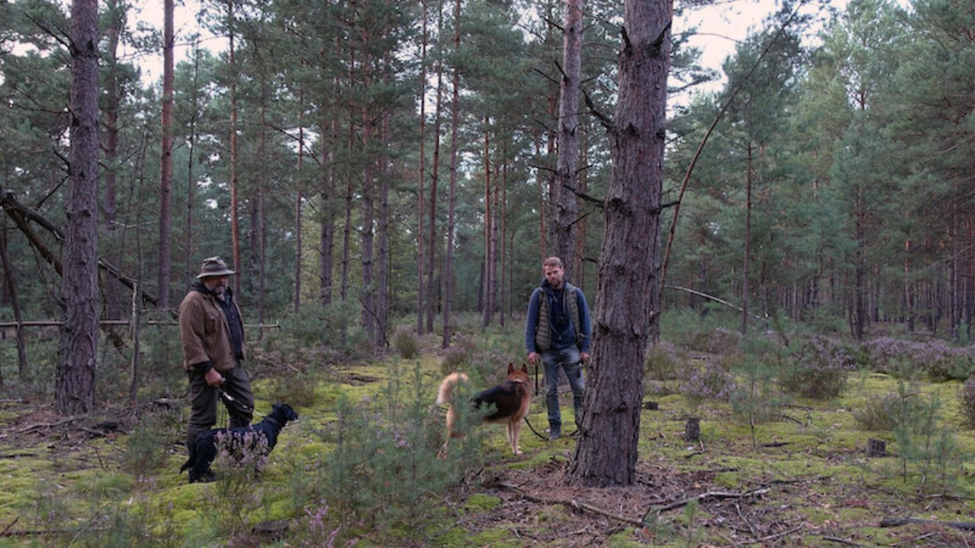 Gezeigt werden auch spezielle Lebensräume wie das Naturschutzgebiet Zschornoer Heide in Deutschland. 