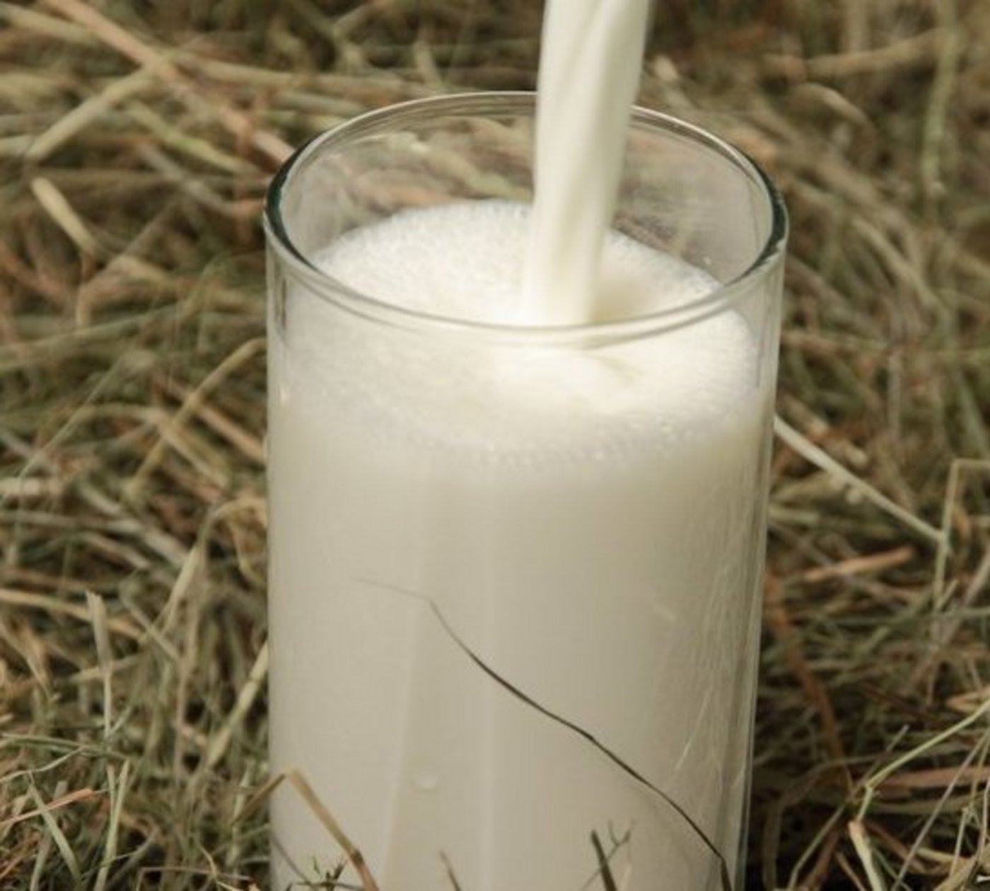 Biomilchproduktion könnte ab diesem Monat attraktiver werden. (Fotolia)