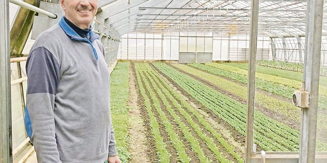 Max Wettstein zeigt ein Gewächshaus, in dem derzeit vorwiegend verschiedenerlei Salat angepflanzt wird.(Bilder Alexandra Stückelberger)