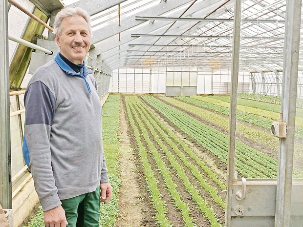 Max Wettstein zeigt ein Gewächshaus, in dem derzeit vorwiegend verschiedenerlei Salat angepflanzt wird.(Bilder Alexandra Stückelberger)