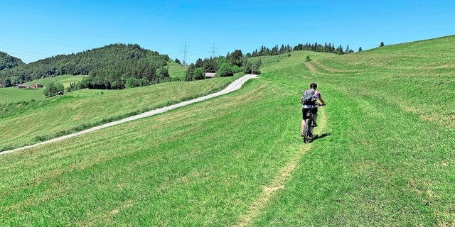 Darf der das? Mountainbiker auf Wiese.