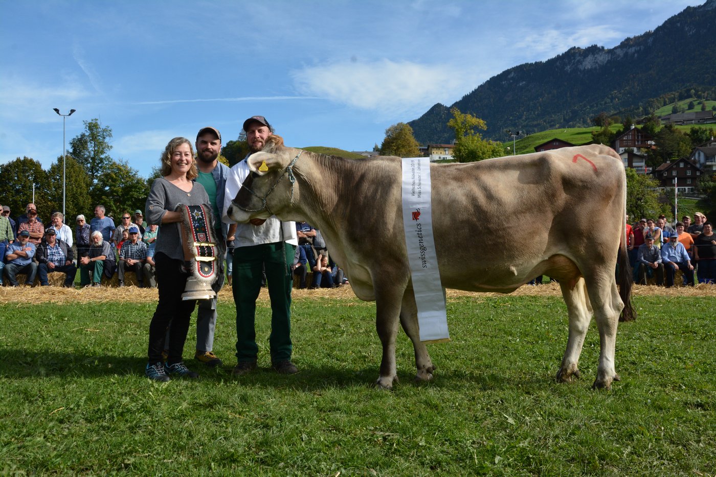 Nora von André Arnold, Ennetmoos, wurde Schöneutersiegerin der Erstmelken.