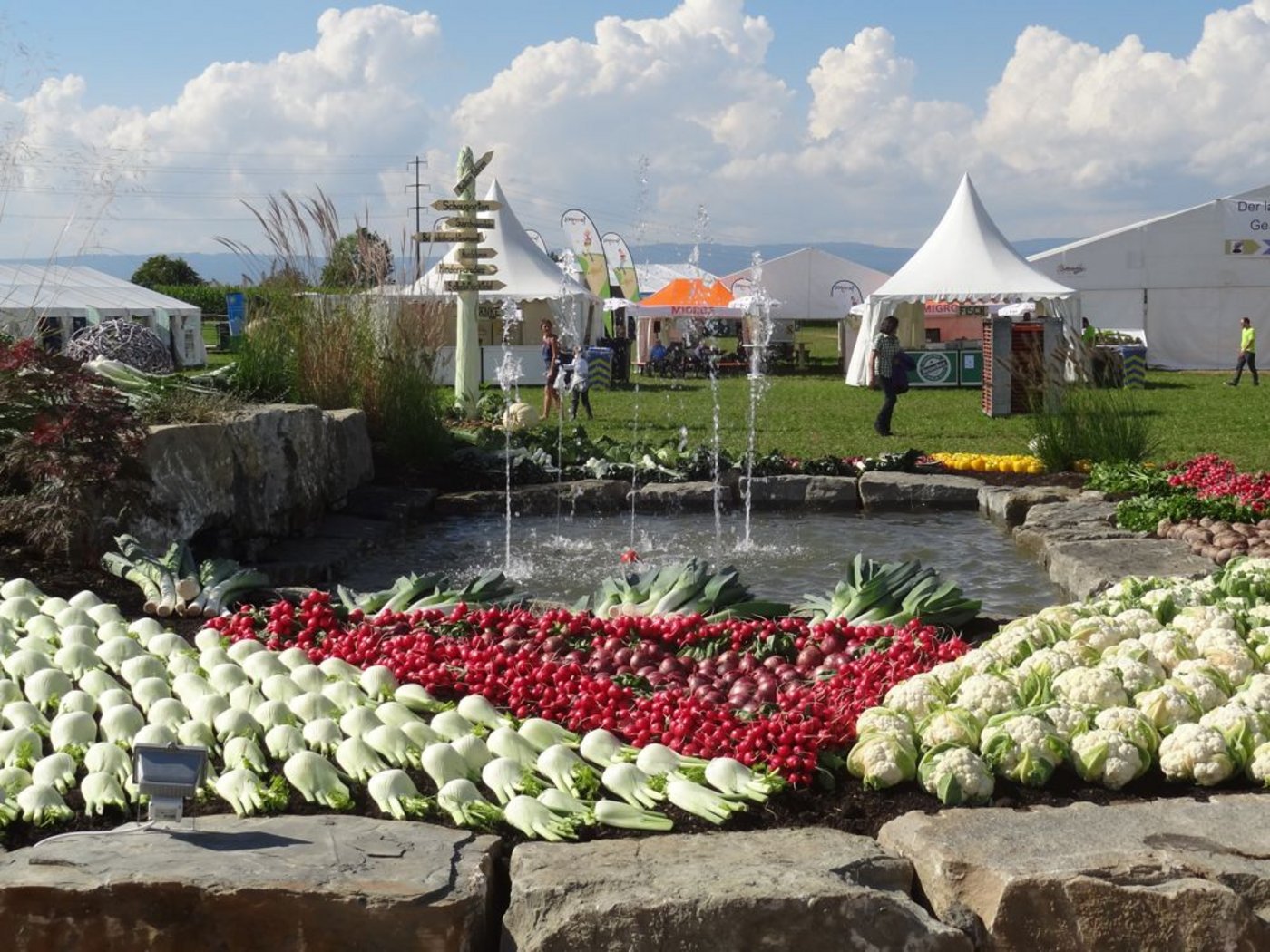 Das dreitätige Gmüesfescht 2014 war mit Wetterglück gesegnet. (Bild: Helen Zesiger)