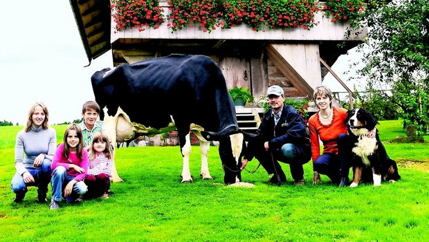 Rudolph Haiti von Markus Wyss, Grasswil BE, ist mit 152'130 kg die noch lebende Holsteinkuh mit der höchsten Lebensleistung. (Bilder: KeLeKi)