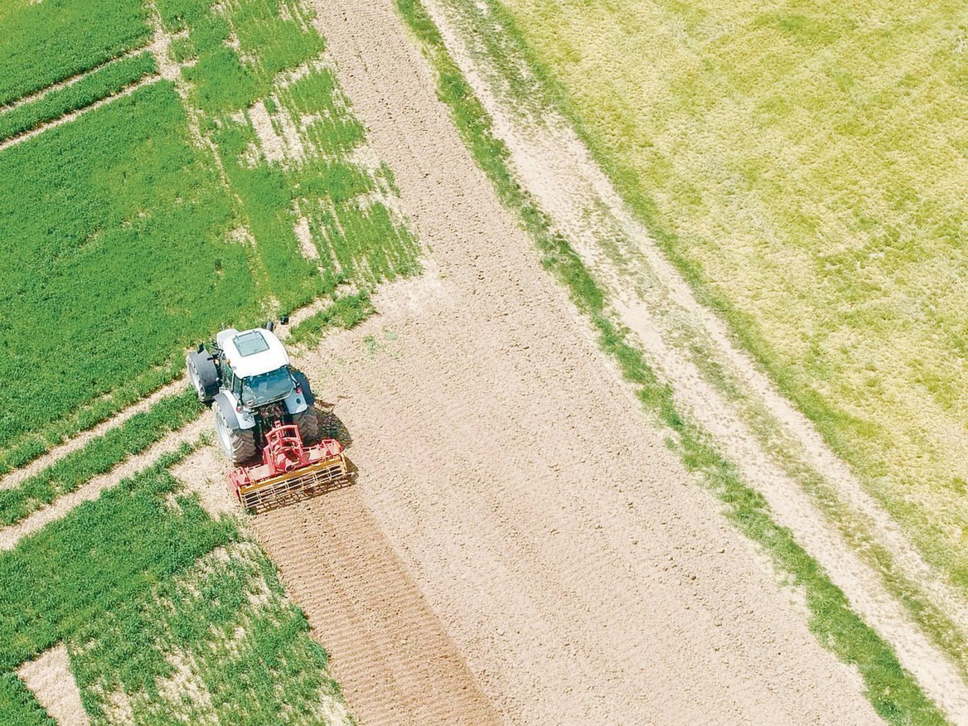 Der Bundesrat zweifelt an der Wirkung der Begrenzung pro Standardarbeitskraft. Eigentlich hätte sie eine übermässige Ausdehnung von Ökoausgleichflächen verhindern sollen. Effektiv habe sie aber nur Auswirkungen auf die Ackerbaubetriebe gehabt. (Bild Gian Wolleb)
