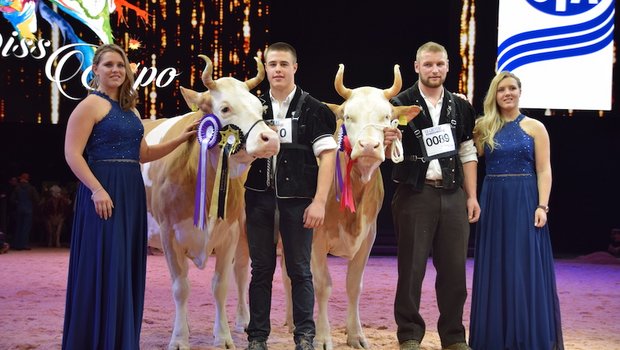 Die Simmental-Champion 2020 heisst Fabbio Azalea (links) von Ueli Schärz, Aeschi b. Spiez. Unetto Wallonie, Familie Schmid, Guggisberg BE, wurde Reserve-Champion. (Bild jba)