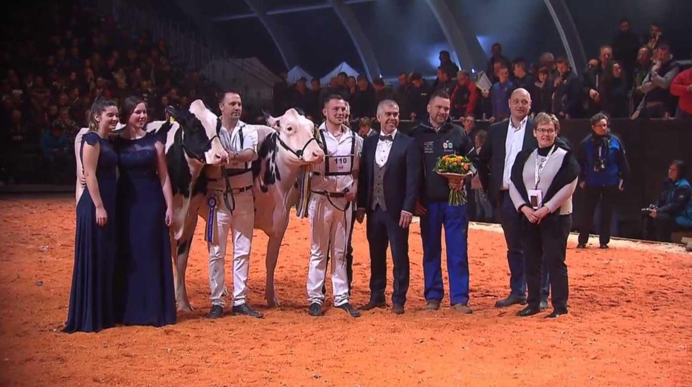 Die Junior Champion (rechts): Comestar Doorman O'Katrysha, WTS Genetics, Menznau LU, Schweiz und die Reserve Ptit Coeur Unix Maniolia, Roger Frossard, Les Pommerats JU, Schweiz.