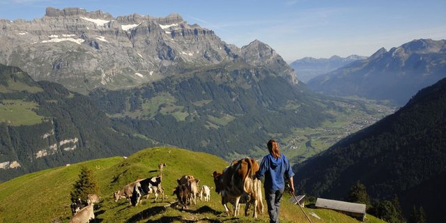 Mittelstaffel der Alp Bodmen/Saasberg in Glarus Süd: Dieses Bild ziert die Titelseite des Glarner Alpbuchs. (Bild: Glarner Alpbuch/Peter Donatsch)