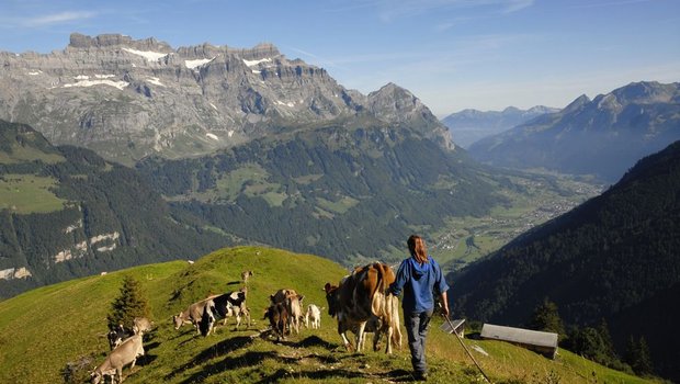 Mittelstaffel der Alp Bodmen/Saasberg in Glarus Süd: Dieses Bild ziert die Titelseite des Glarner Alpbuchs. (Bild: Glarner Alpbuch/Peter Donatsch)