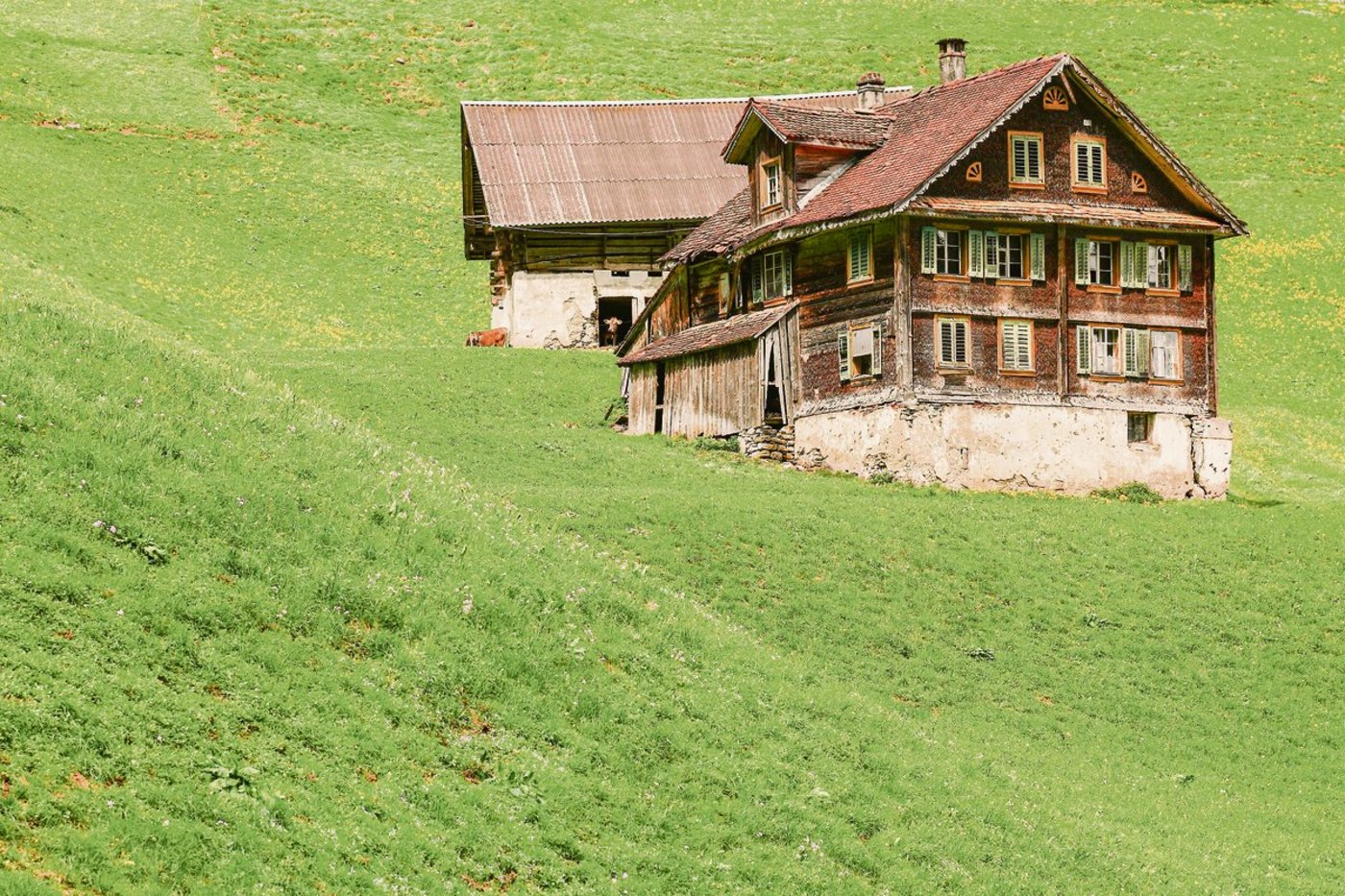 Alte, unsanierte Gebäude ziehen grössere Investitionen mit sich (z. B. Wärmedämmung, Gewässer- und Tierschutz). Eine neuere, teurere Liegenschaft ist häufig gesamthaft günstiger. (Bild AdobeStock)