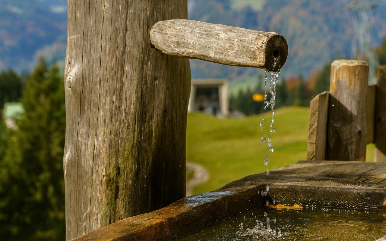 Brunnen sind zum Tränken da, nicht zum Baden. Menschen, Haus- und Nutztiere müssen das kühle Nass teilen. (Bild Pixabay)