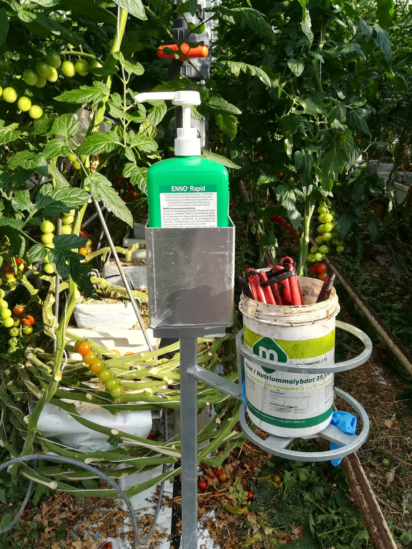 Oder ein Stand mit Desinfektionsmittel und Behälter.