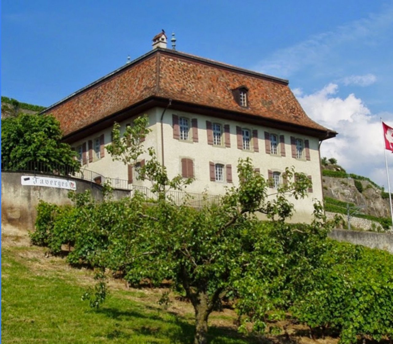 Diee «Domaine des Faverges» im Lavaux im Kanton Waadt ist ein Weingut des Kantons Freiburg. (Bild pd)