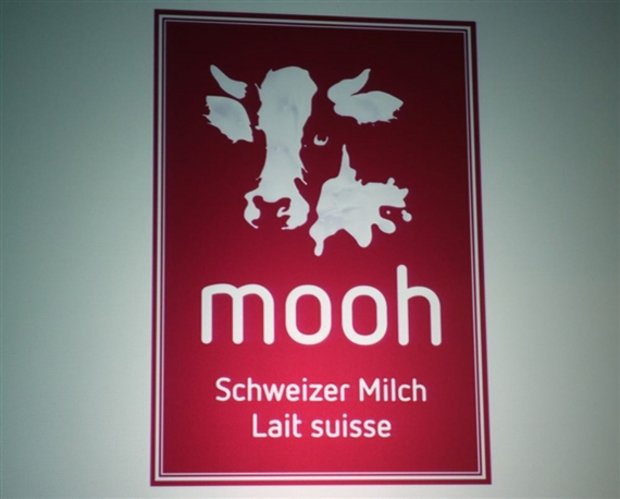 Unter dem Namen «Mooh» haben die Miba und Nordostmilch auf 1. Juli ihr Milchhandelsgeschäft zusammengelegt. (Bild Albrecht Dreier)