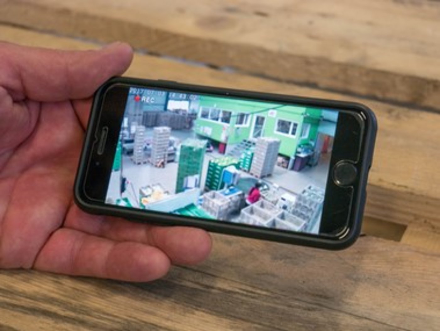 Beat Bösiger hat 16 Kameras im Betrieb installiert auf die er jederzeit per Mobiltelefon Zugriff hat. (Bild David Eppenberger)