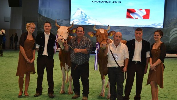 Grand-Champion-Wahl bei den Swiss-Fleckvieh: Incas Roxane von Edith und Christian Delabays aus Châtelard-p-Romont FR (rechts) gewinnt vor Incas Anemone von Michel Rey, ebenfalls aus le Châtelard FR.