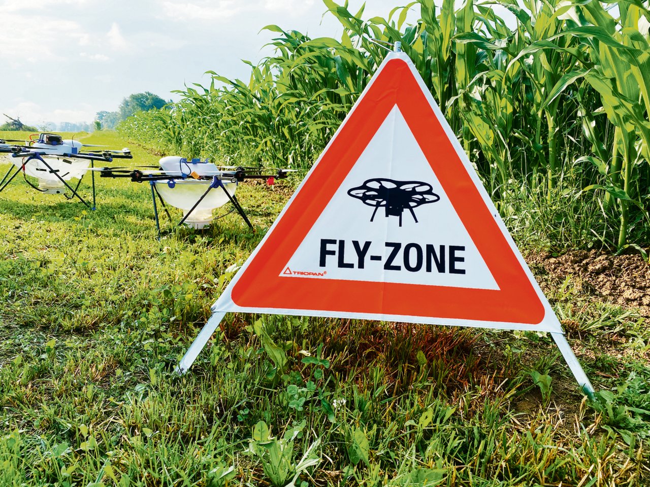 Die Drohnen von UFA-Samen Nützlinge werfen Kugeln mit Trichogramma-Schlupfwespen gegen den Maiszünsler ab.