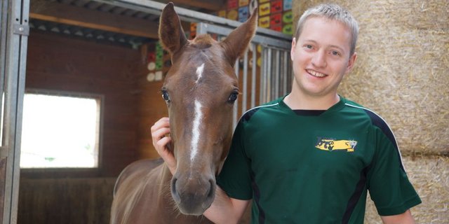 Mit seinen Freibergerpferden – auf dem Bild Camillo – ist Marcel Luder aus Oftringen AG erfolgreich im Fahrsport unterwegs. (Bild: Ruth Aerni)