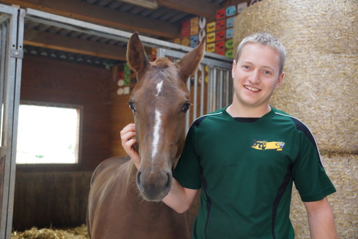Mit seinen Freibergerpferden – auf dem Bild Camillo – ist Marcel Luder aus Oftringen AG erfolgreich im Fahrsport unterwegs. (Bild: Ruth Aerni)