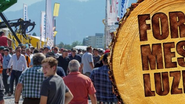 Am 15. bis 18. August ist es wieder soweit: Die Forstmesse in Luzern bietet für Interessierte und Profis allerhand Darbietungen rund um das Thema Holz. (Bild zVg)