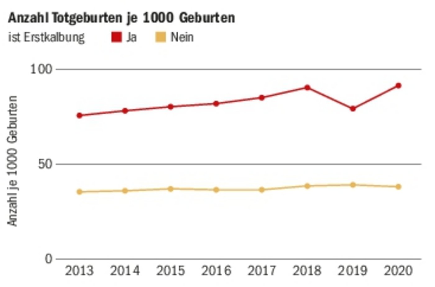 Auf 1000 Geburten haben die Rinder häufiger eine Totgeburt als die Kühe. Warum, weiss man nicht genau.(Grafik BLV)