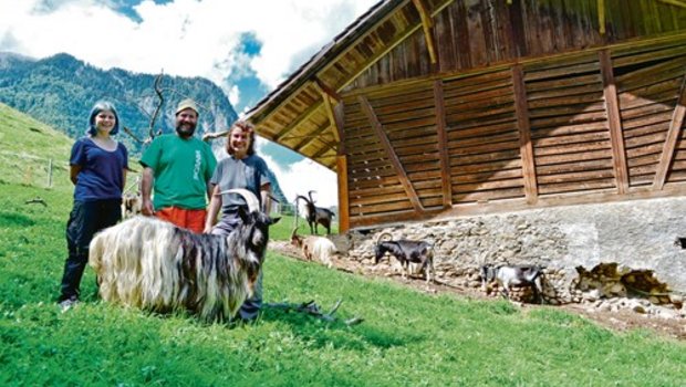 Anna Rösti (rechts) züchtet gemeinsam mit Jakob Reber Ziegen alter Schweizer Rassen im eigenen Ziegenzuchtverein «Am Niesen». Unterstützt wird ihre Arbeit von ihrer Tochter Gabriela (links). (Bild Lisa McKenna)