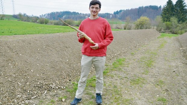Ortwin Schönholzer mit einer gelagerten Yamswurzel. (Bild Alexandra Stückelberger)