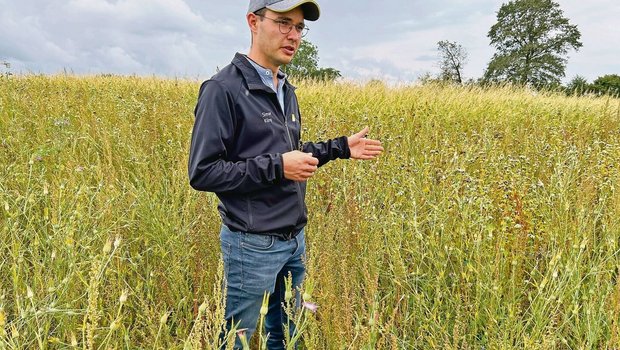 Simon Küng ist Berei Simon Küng ist Bereichsleiter Biodiversität und steht in einer Buntbrache. Das sei der schwierigste BFF-Typ und darum für Einsteiger nicht unbedingt geeignet.