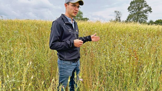 Simon Küng ist Bereichsleiter Biodiversität und steht in einer Buntbrache. Das sei der schwierigste BFF-Typ und darum für Einsteiger nicht unbedingt geeignet.