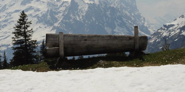 Frühlingsgefühle am letzten Winterwochenende. (Bild BauZ)