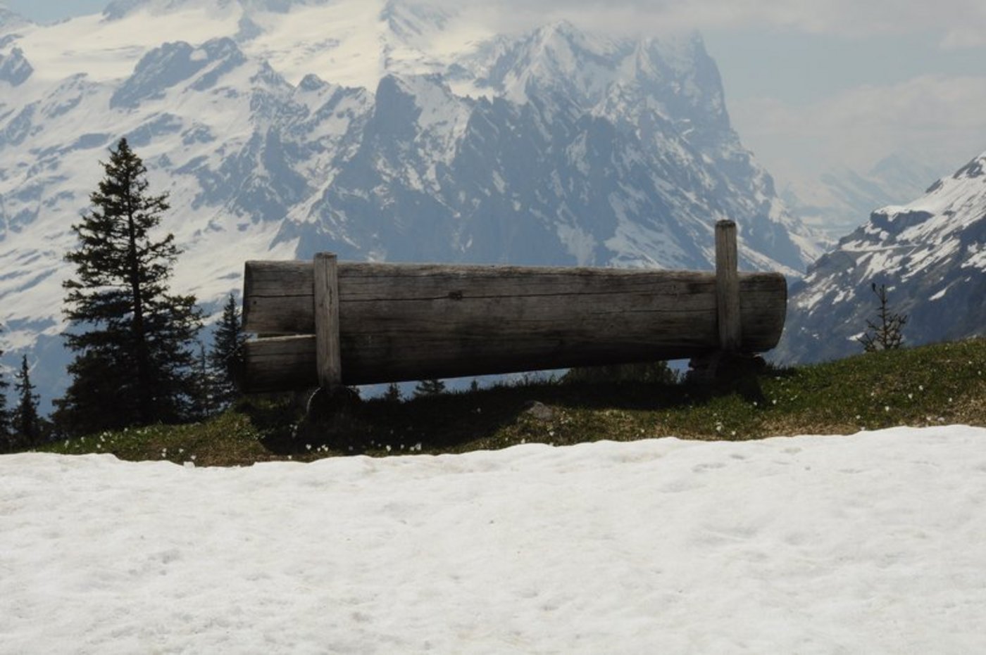 Frühlingsgefühle am letzten Winterwochenende. (Bild BauZ)